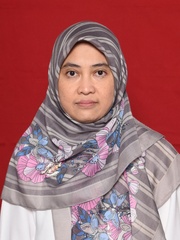 NUR AINI