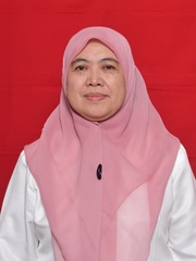 Dra. Dini Ryandini, M.Si.